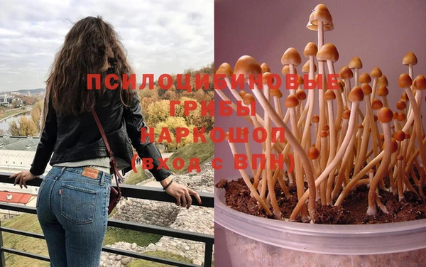 марки nbome Белокуриха